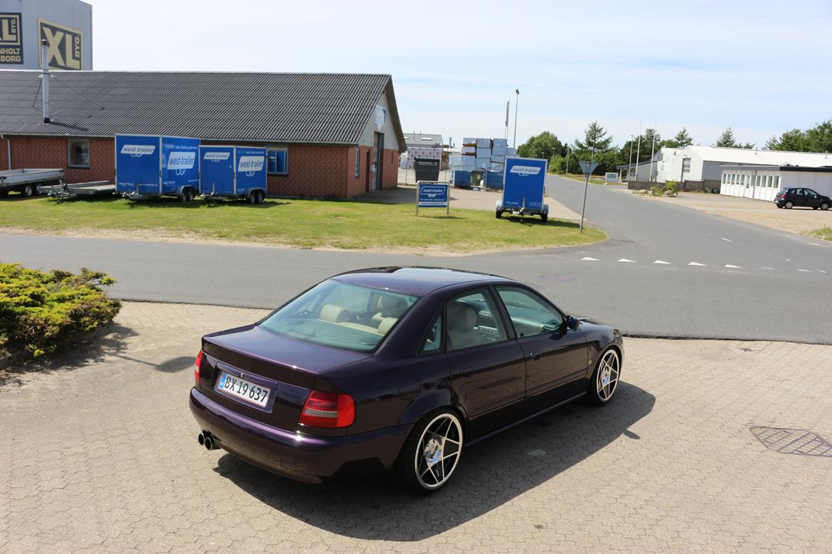 Audi A4 B5 billede 17