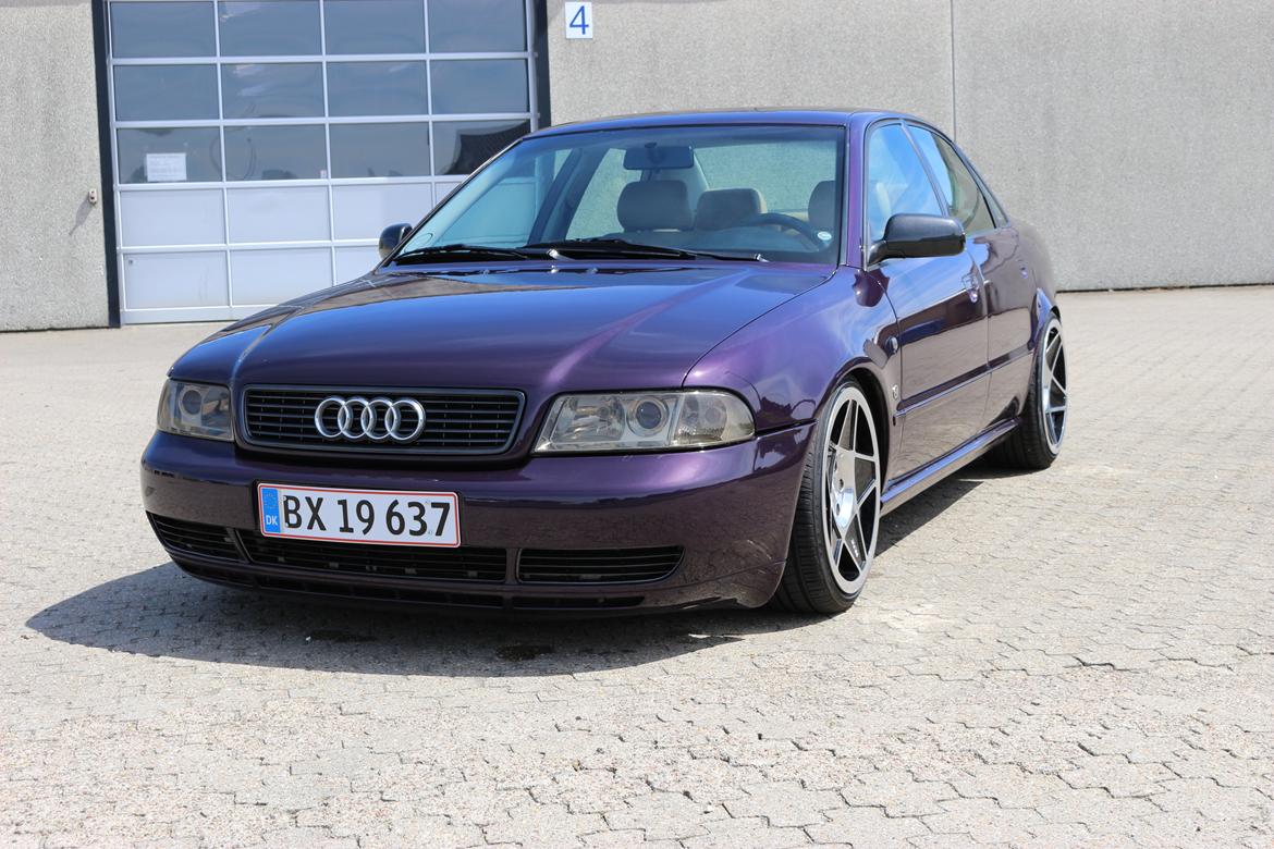 Audi A4 B5 billede 15