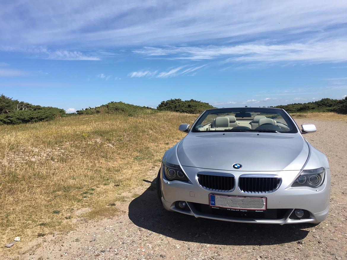 BMW 630i Cab E64 - Mona billede 8