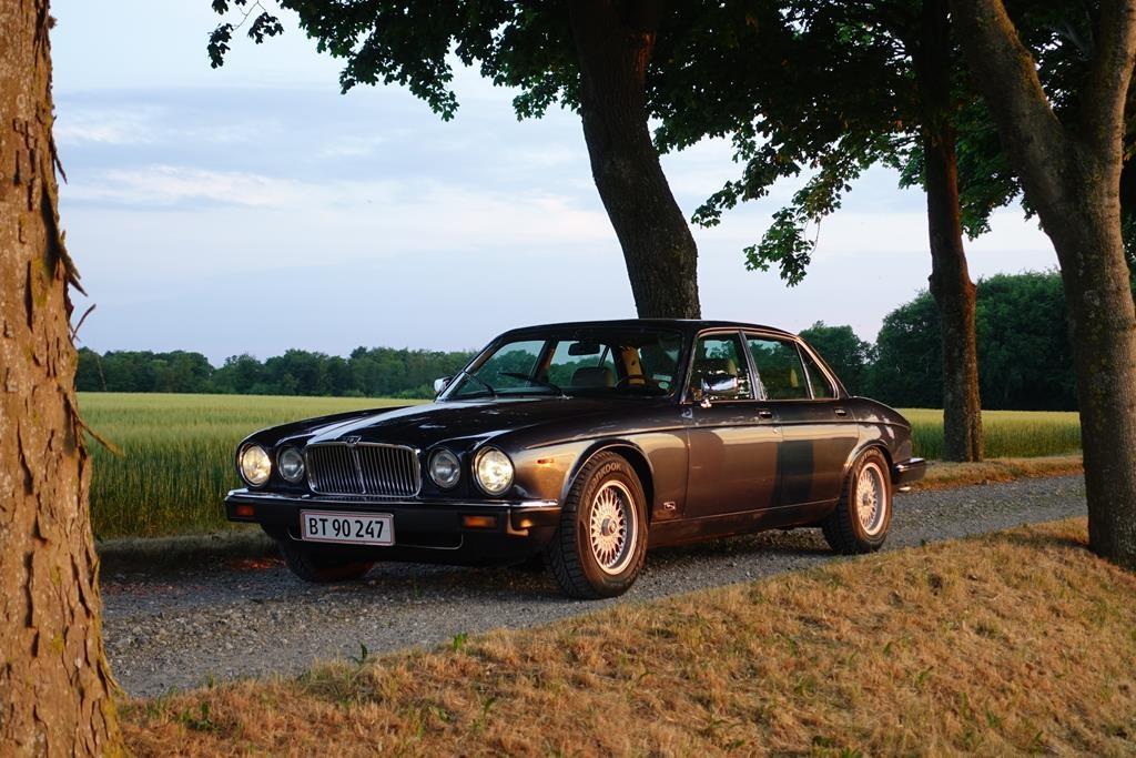 Jaguar XJ12 Sovereign billede 14