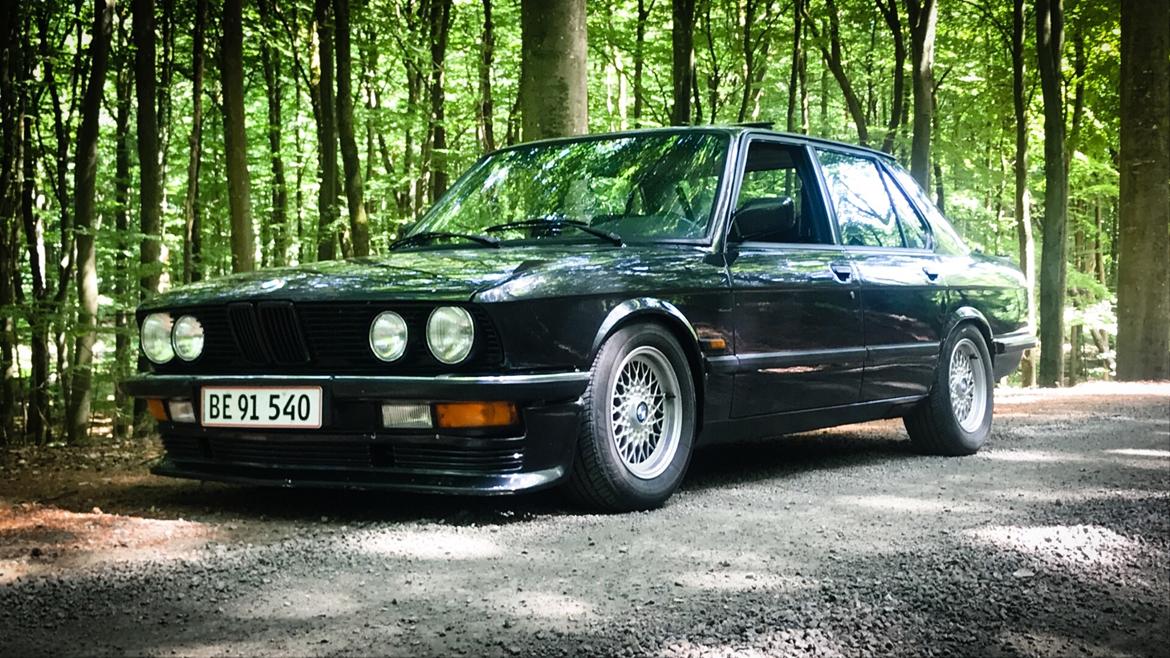 BMW E28 - M20 - Række 6 billede 9