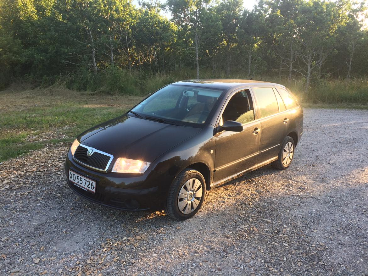 Skoda Fabia 1.9 TDI  billede 2