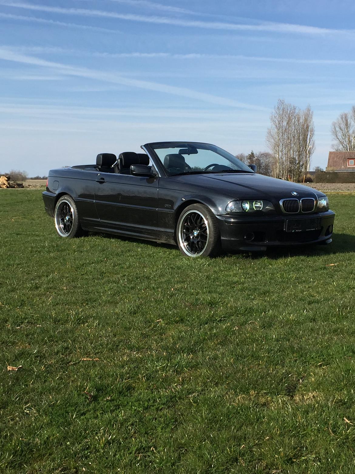 BMW E46 cabriolet  billede 7