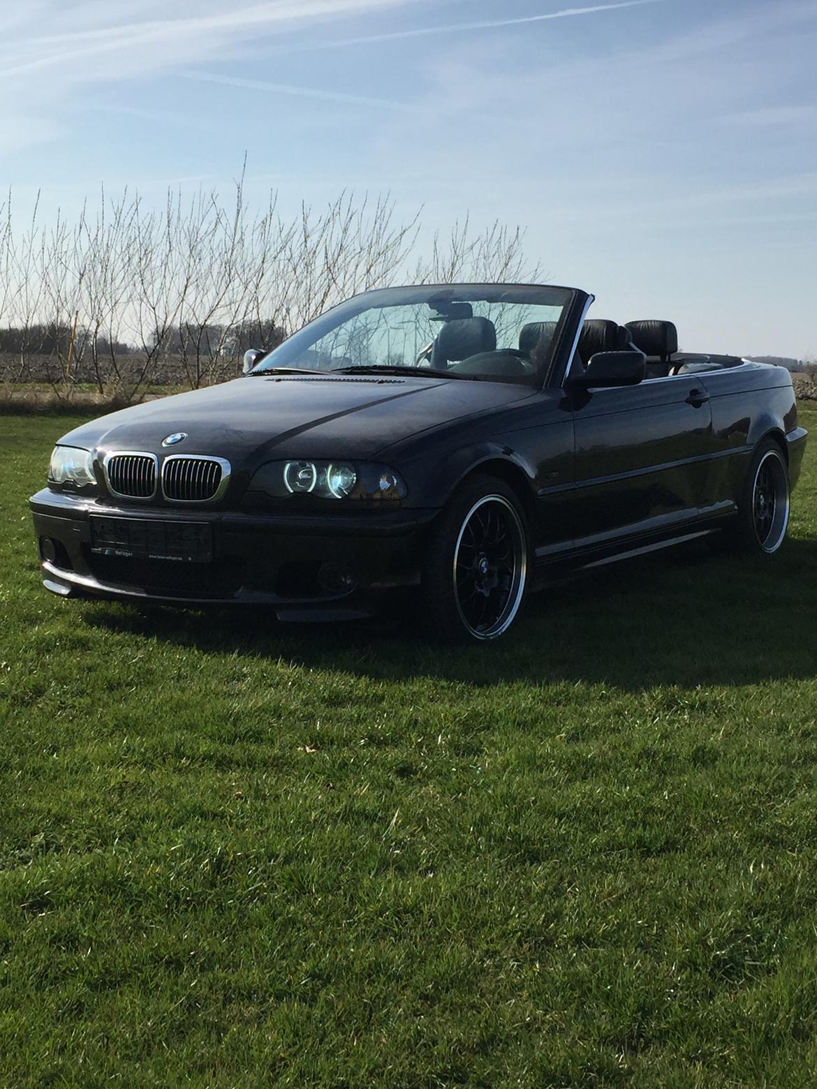 BMW E46 cabriolet  billede 6