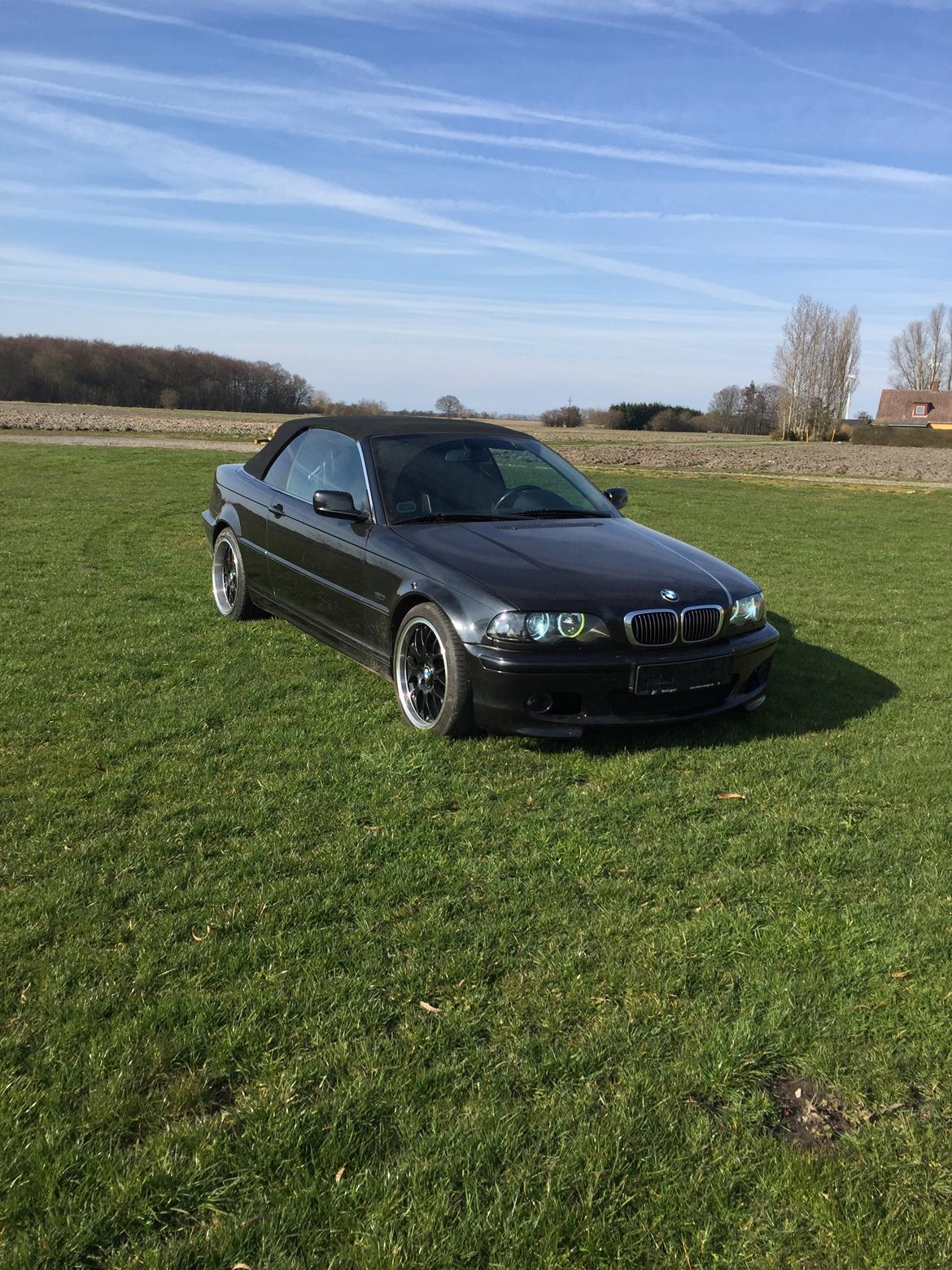 BMW E46 cabriolet  billede 9