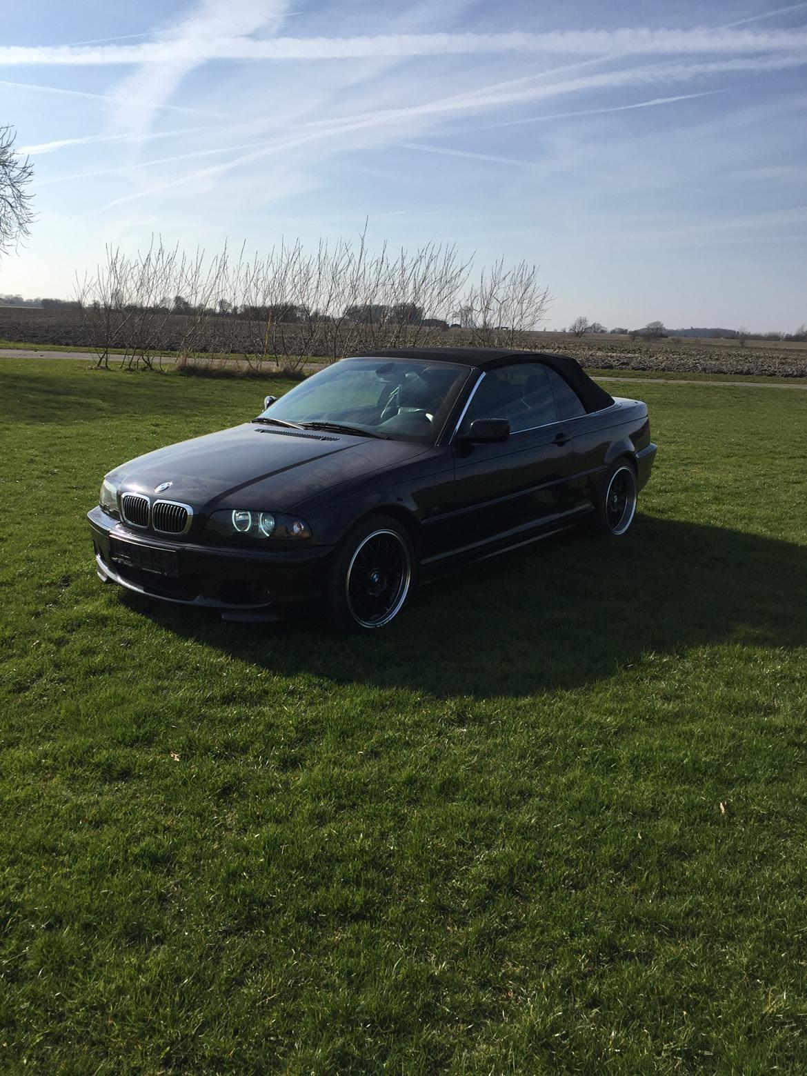 BMW E46 cabriolet  billede 11