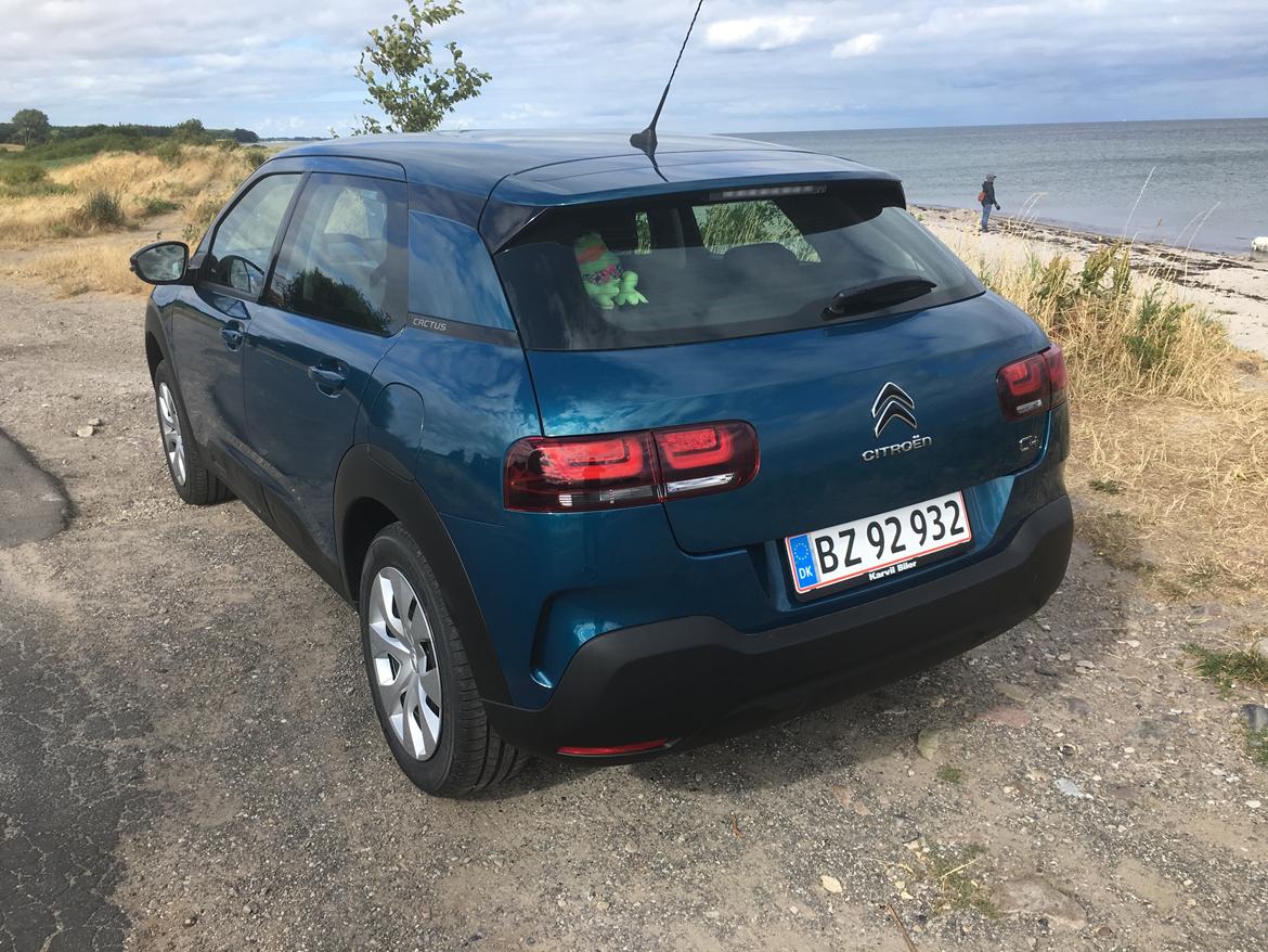 Citroën C4 Cactus  Iconic BlueHDi 100 billede 3