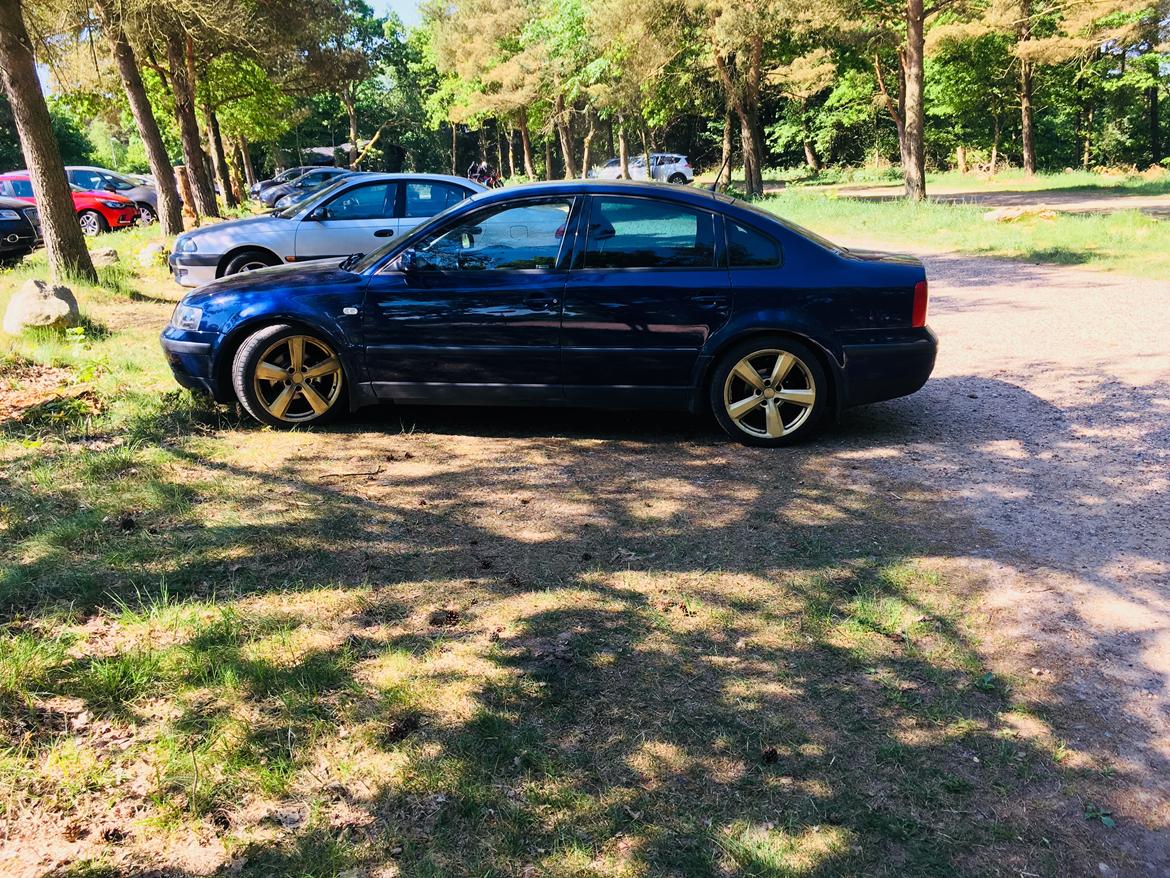 VW Passat tdi billede 10