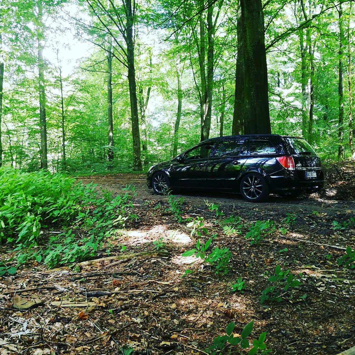 Opel Astra H Wagon billede 15