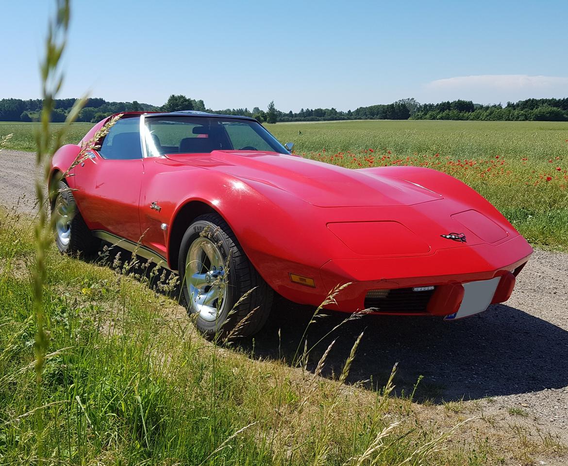 Chevrolet Corvette C3 6.2 V8 Coupe Stingray billede 4