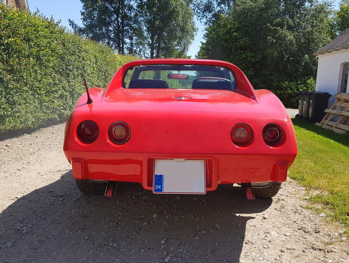 Chevrolet Corvette C3 6.2 V8 Coupe Stingray billede 12