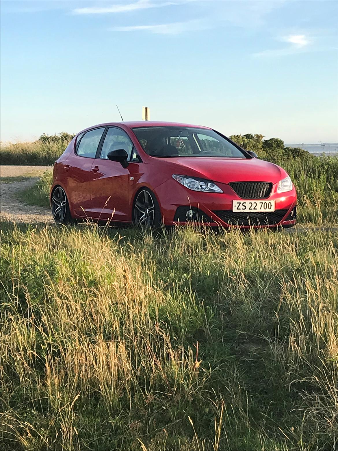 Seat Ibiza 6J billede 9