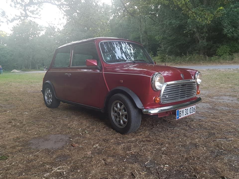 Rover Mini billede 1