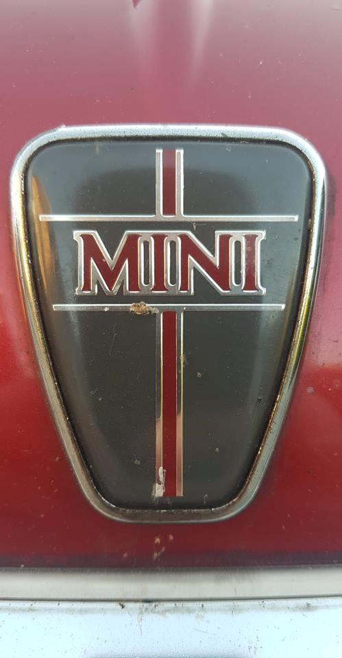 Rover Mini billede 6