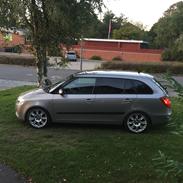 Skoda Fabia grenline