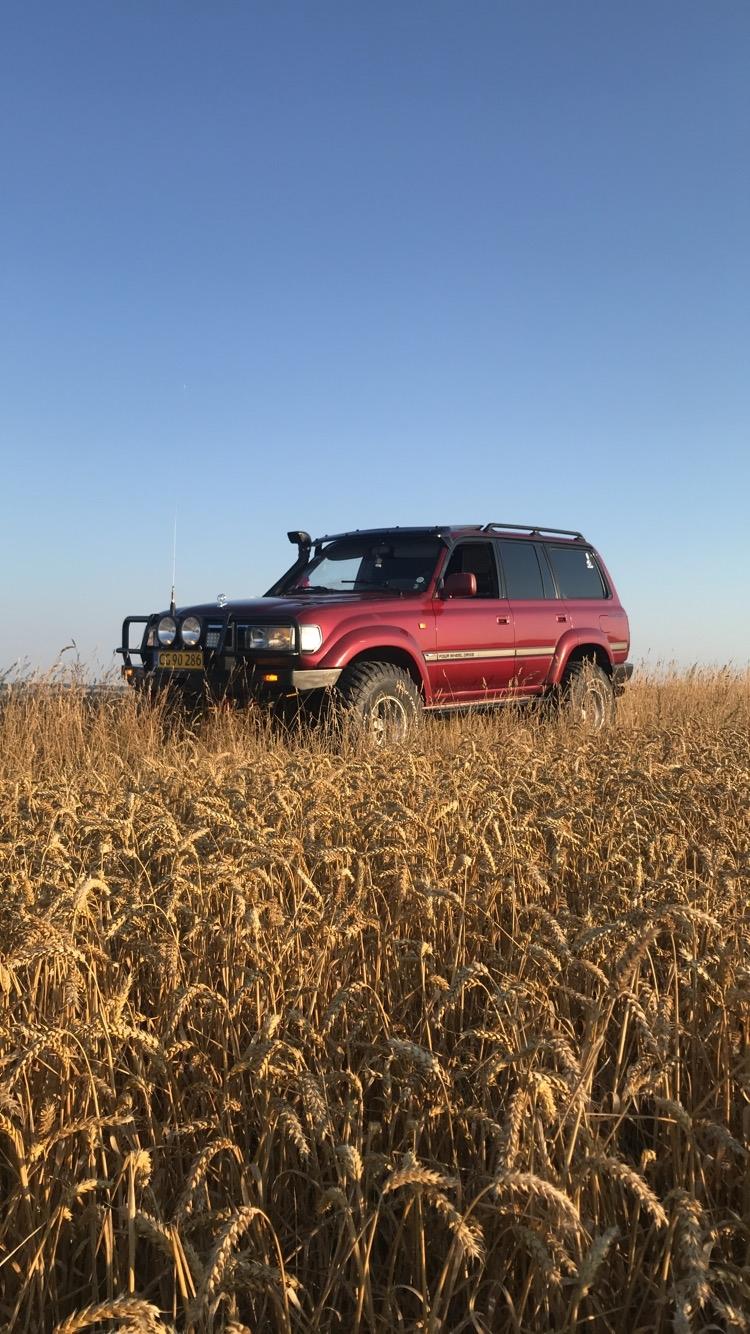 Toyota Landcruiser 80'er billede 5