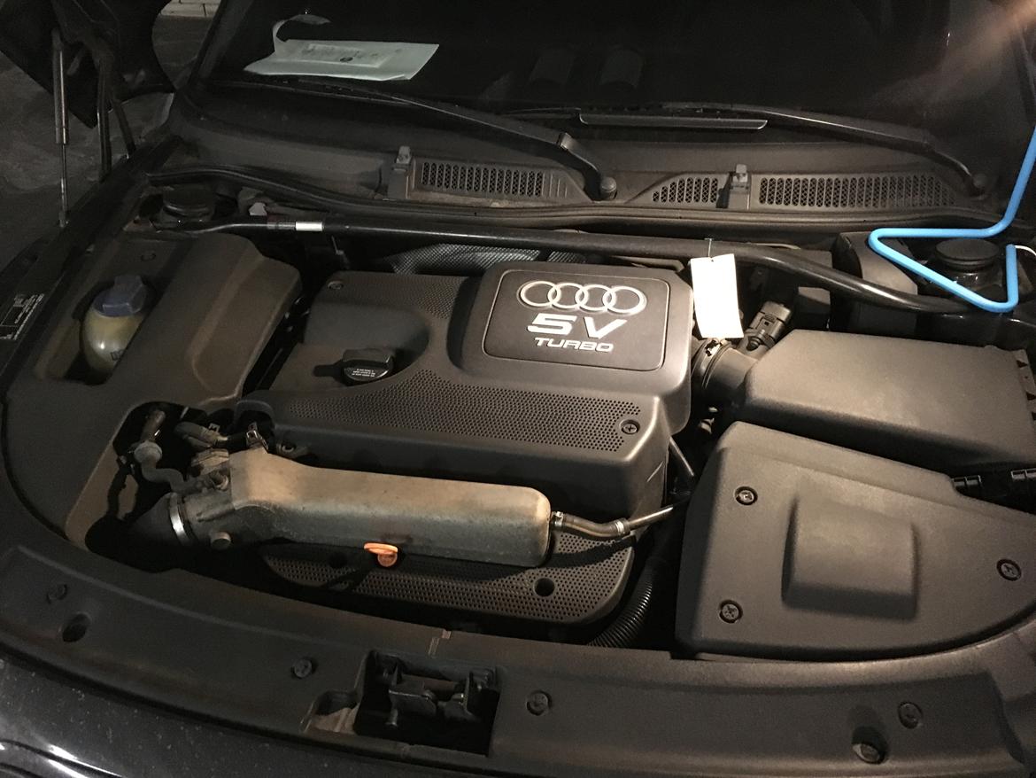 Audi TT Roaster - Org motorrum med svage tændspoler billede 9