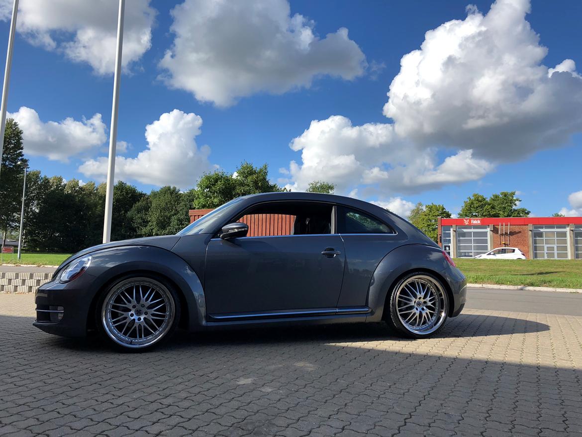VW The Beetle billede 6