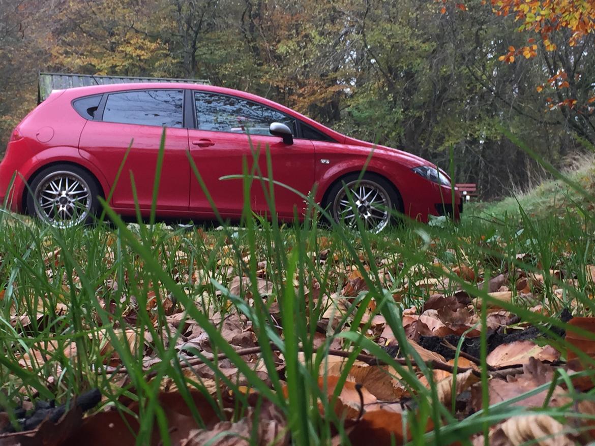 Seat Leon sport up billede 1