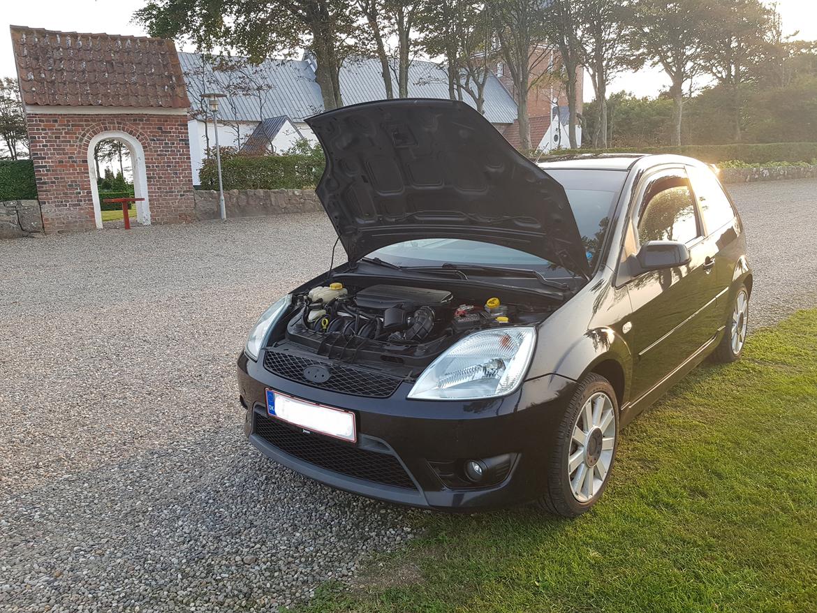 Ford fiesta st150 billede 10