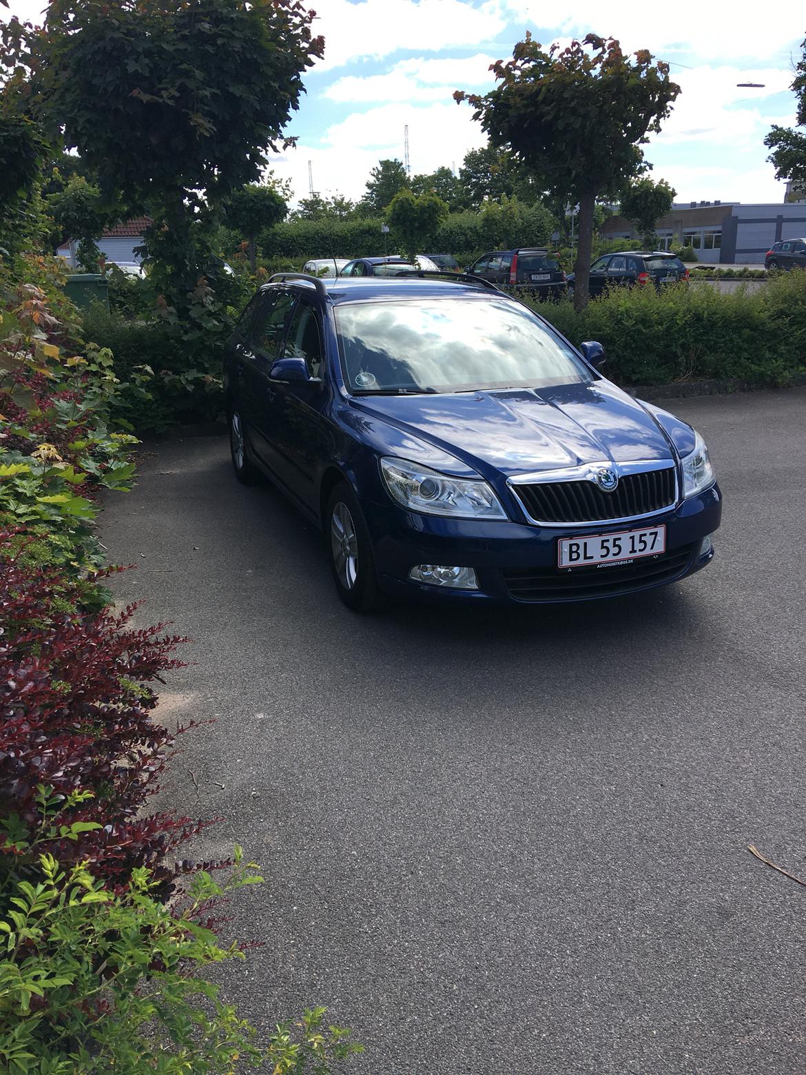 Skoda Octavia 1.6 TDI Greenline billede 6