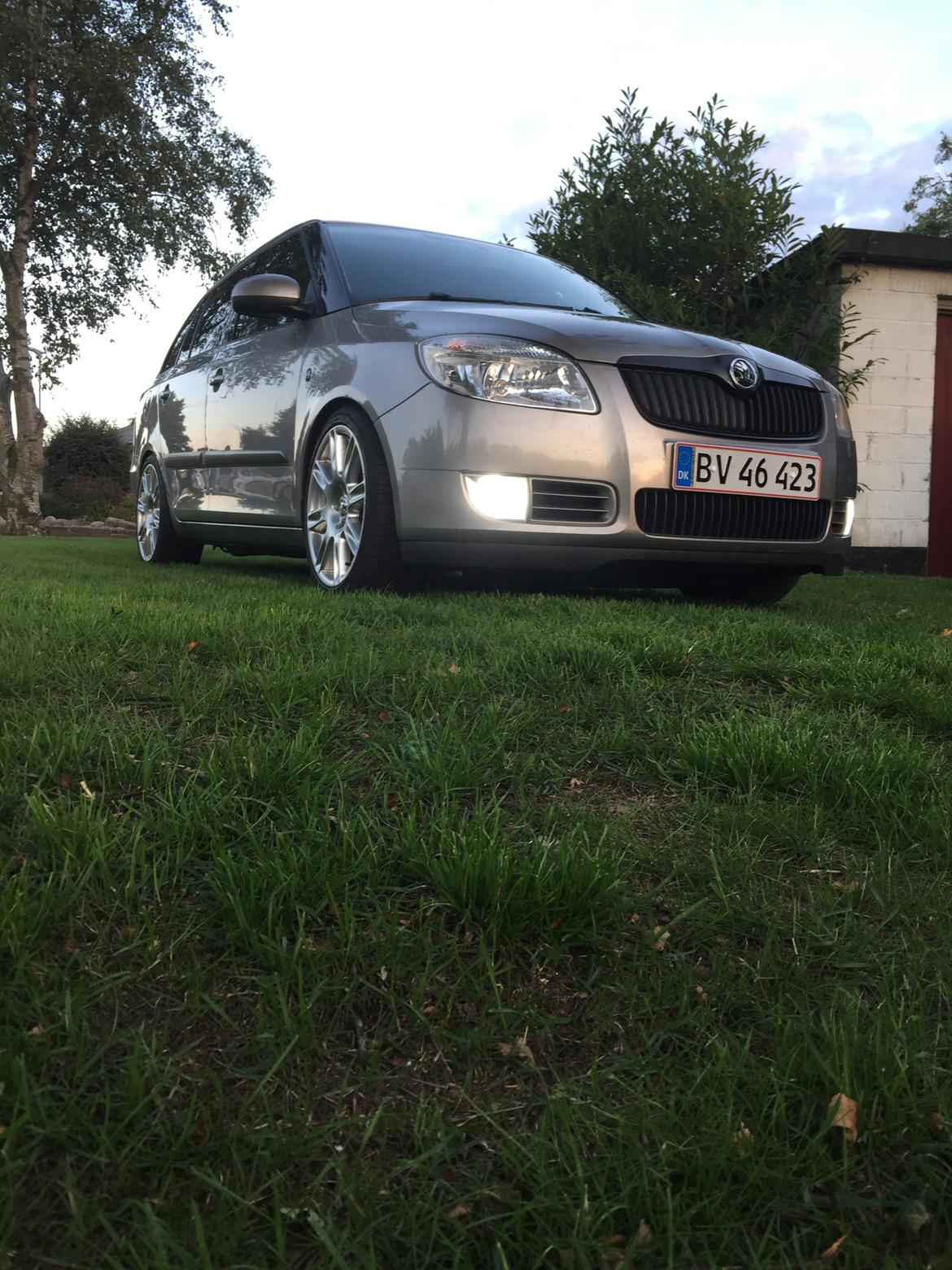 Skoda Fabia grenline billede 3