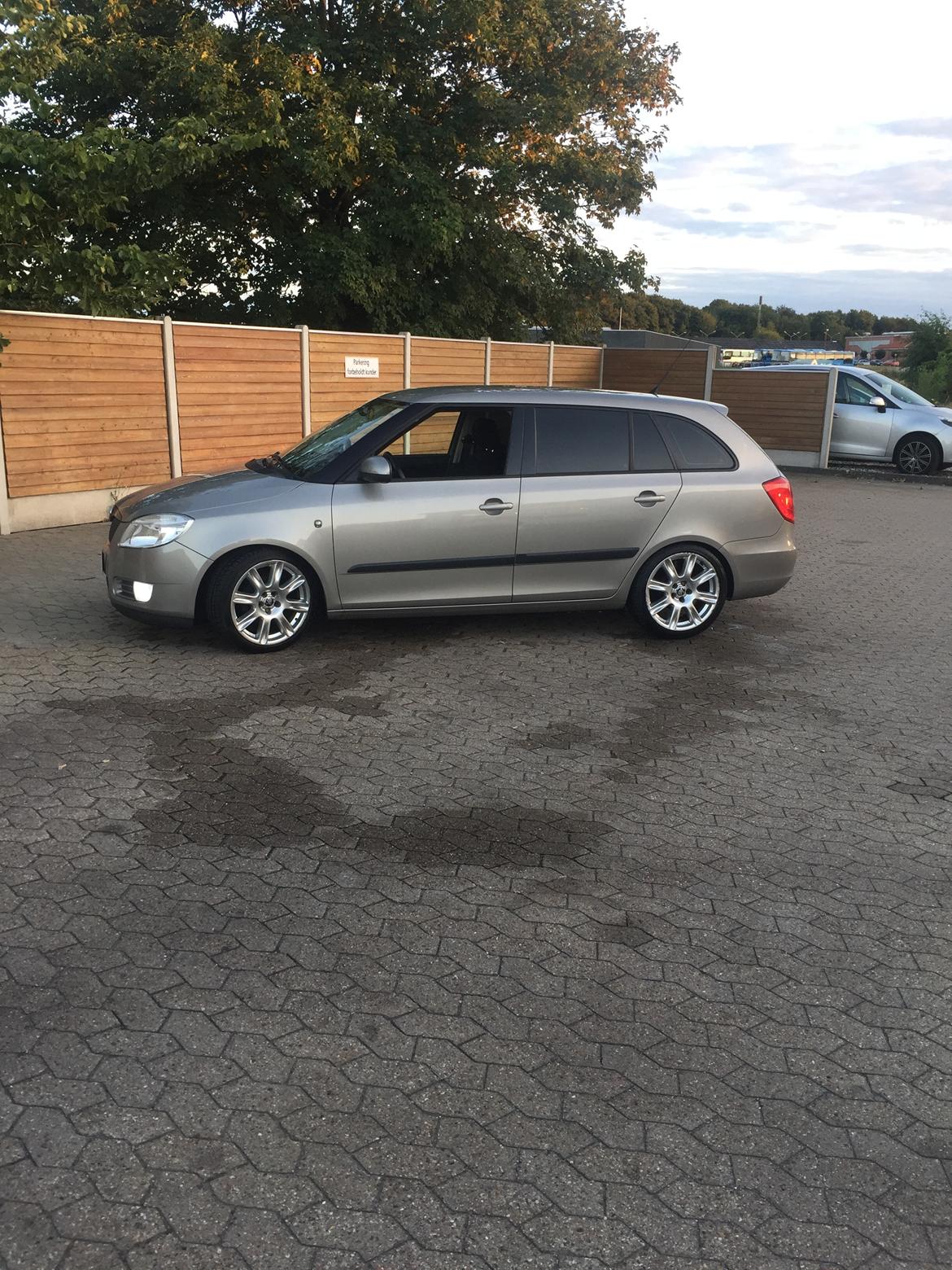 Skoda Fabia grenline billede 2