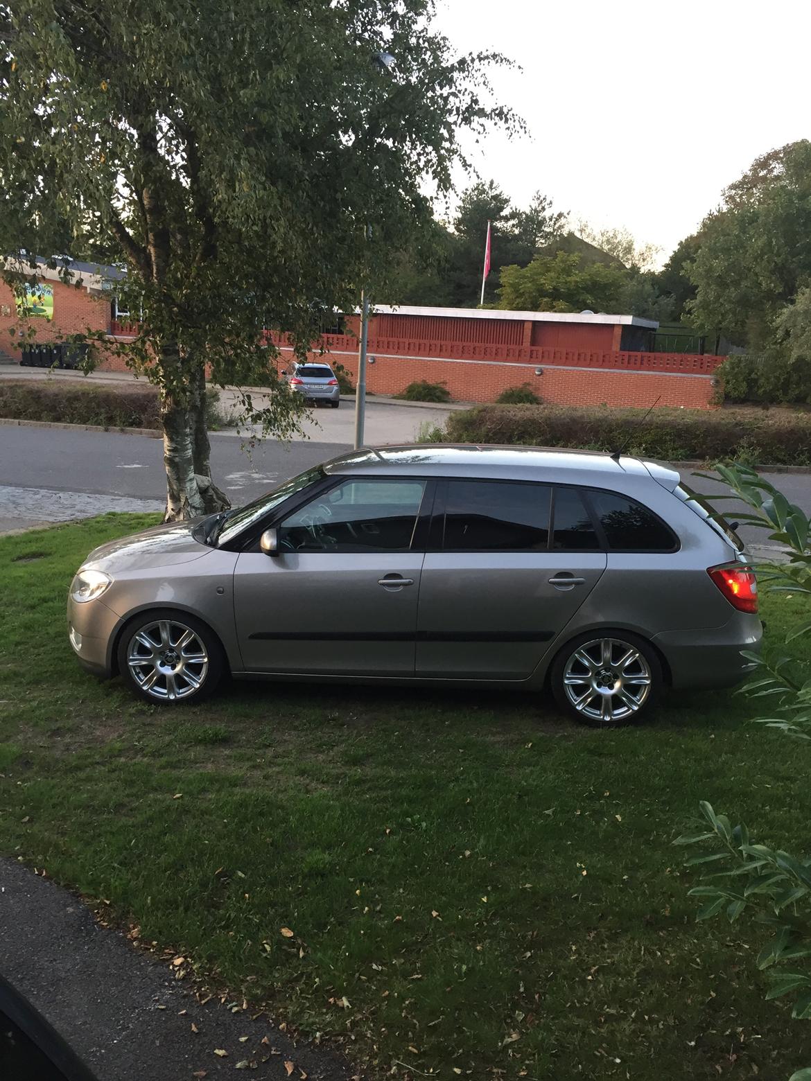 Skoda Fabia grenline billede 4