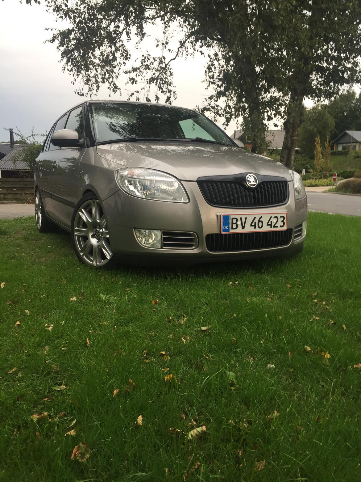 Skoda Fabia grenline billede 8