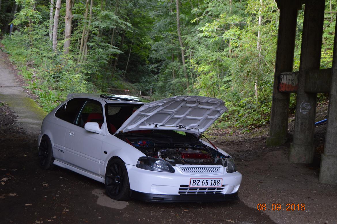 Honda Civic billede 1