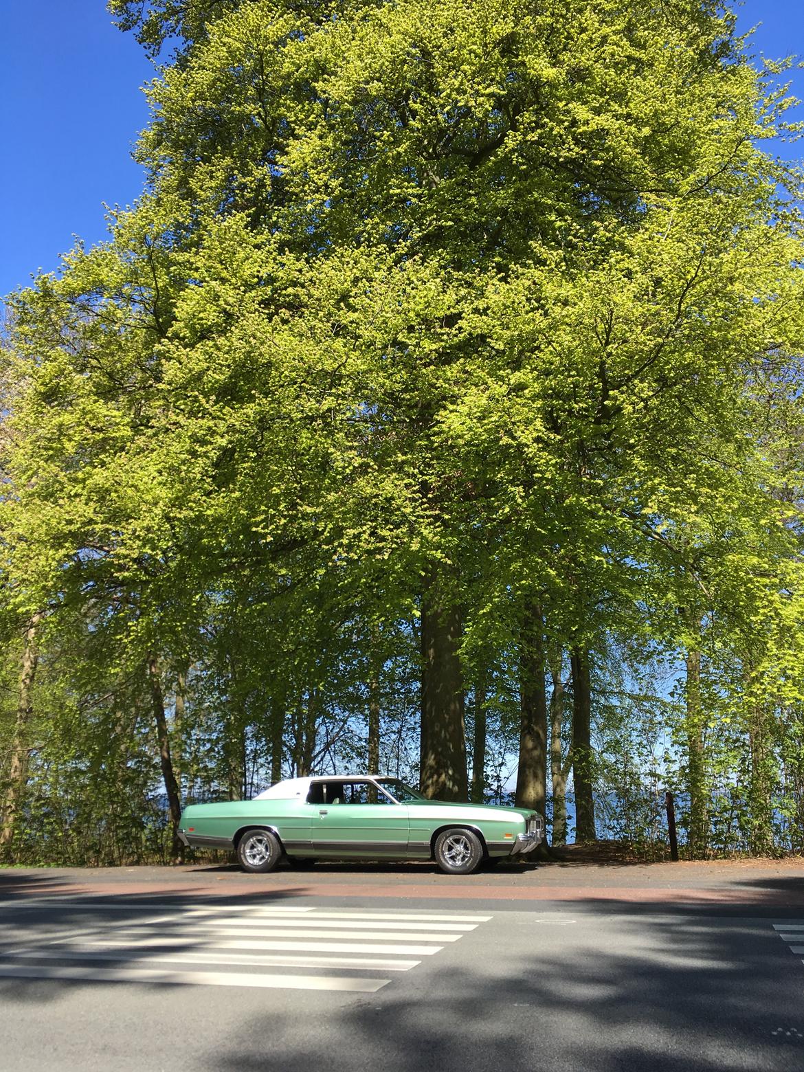 Ford LTD 2-door Hardtop billede 7