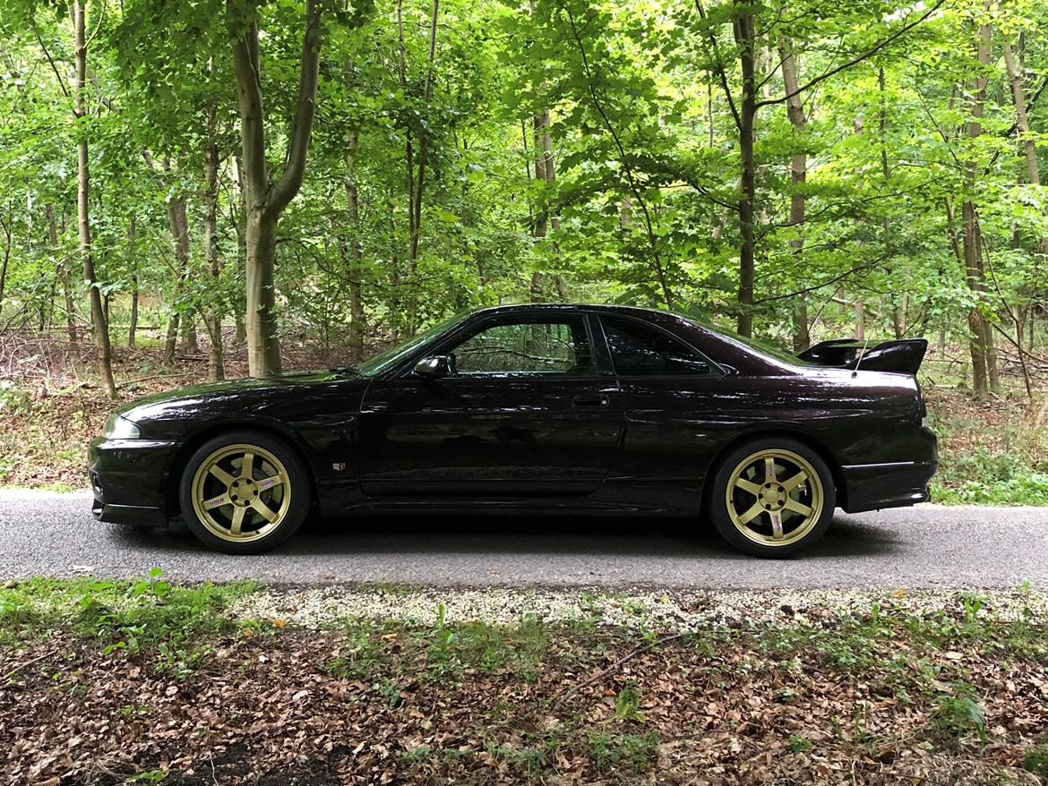 Nissan Skyline (R33) GT-R Vspec billede 2