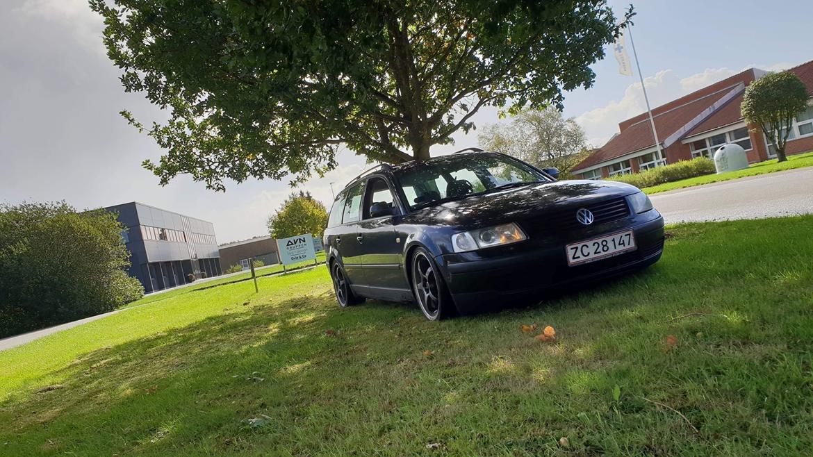 VW Passat 3B billede 1