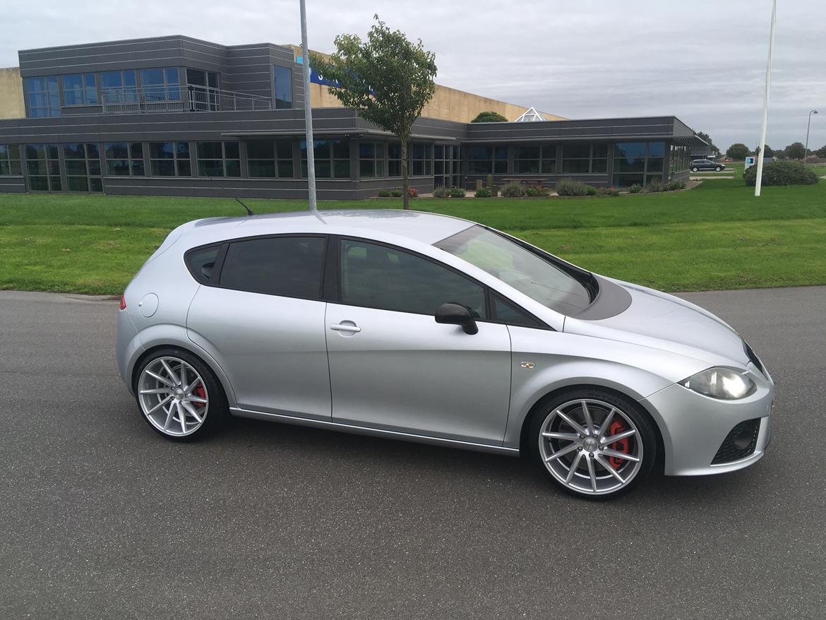 Seat Leon Cupra billede 3