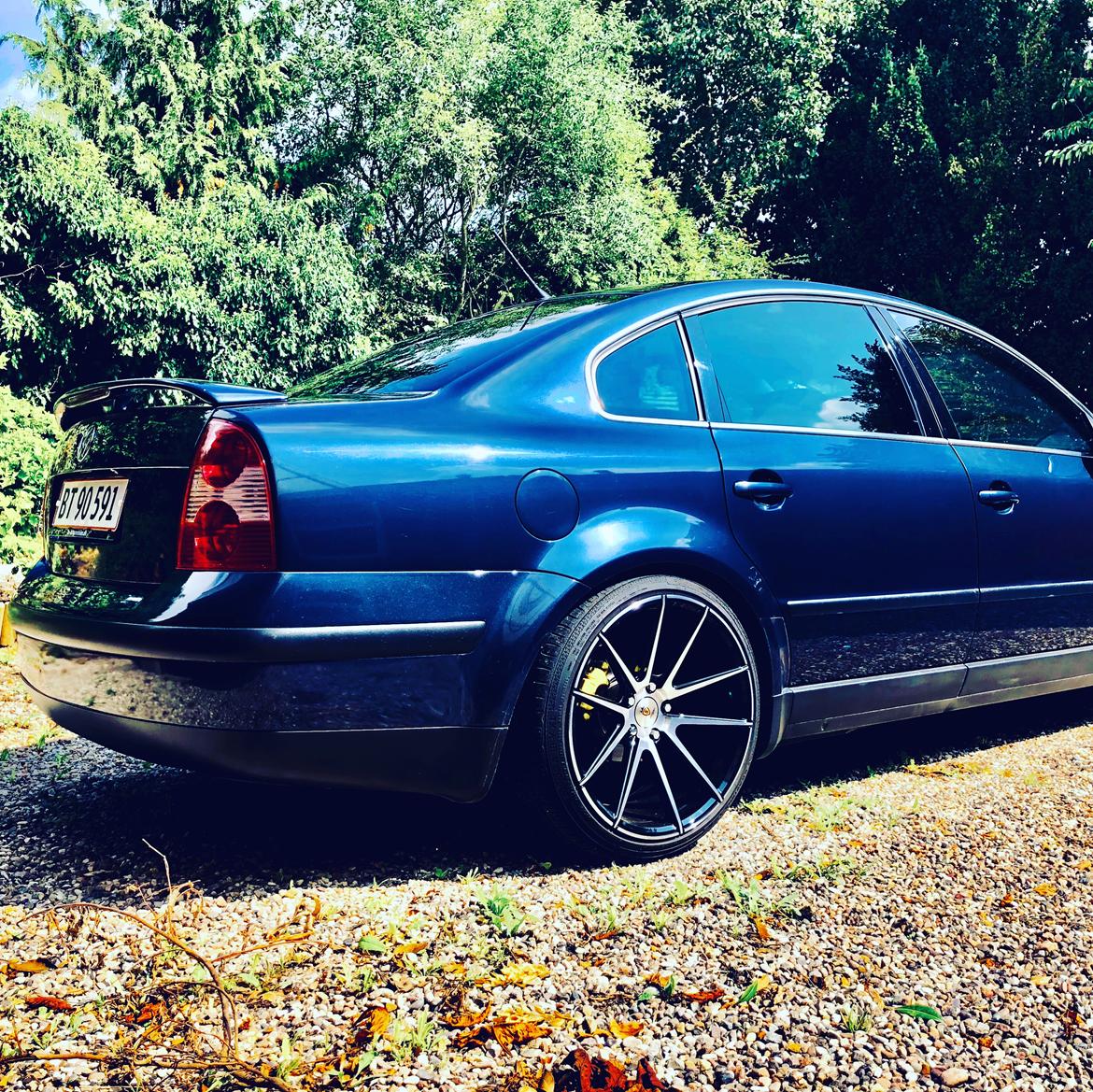 VW Passat 3BG Limousine billede 1