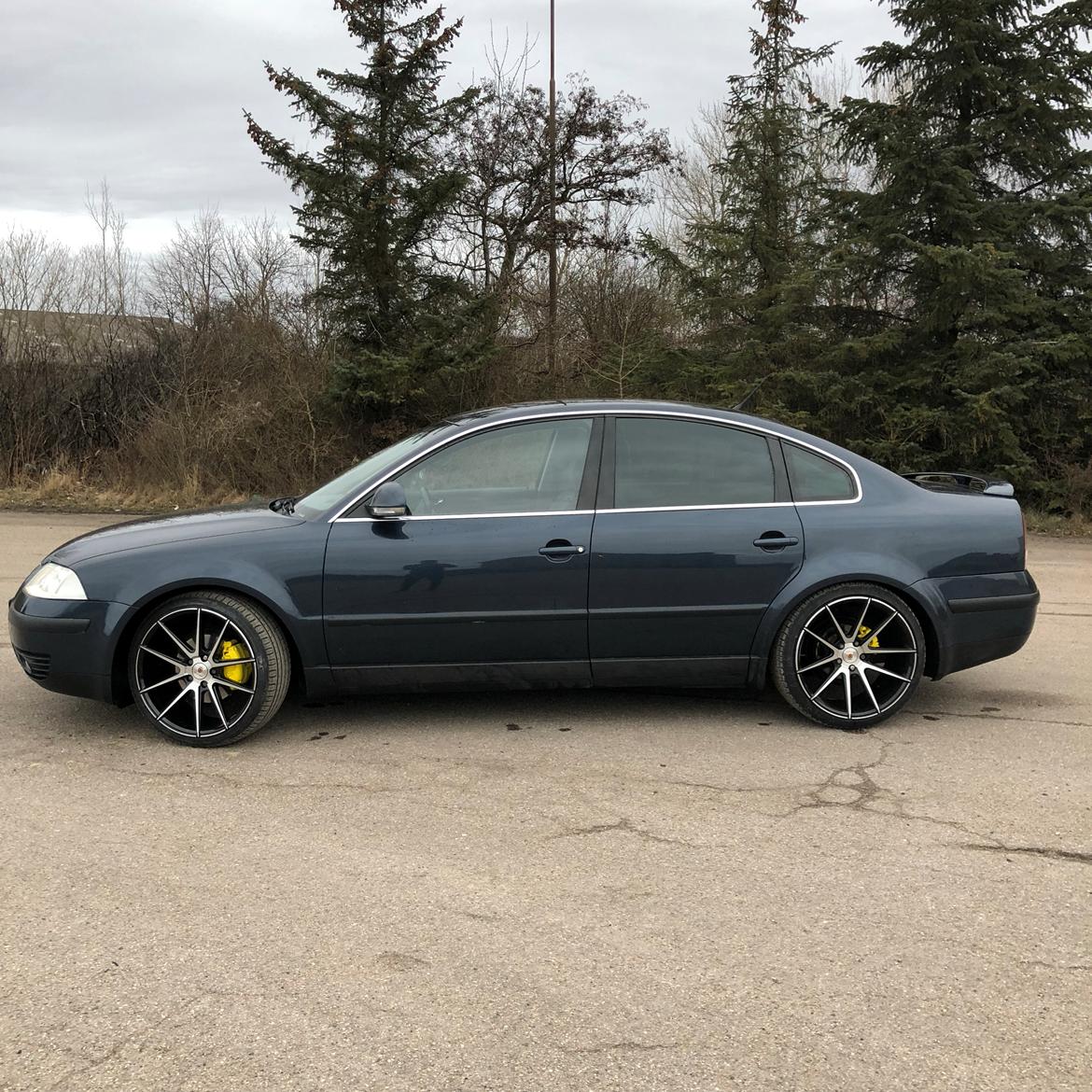 VW Passat 3BG Limousine billede 4