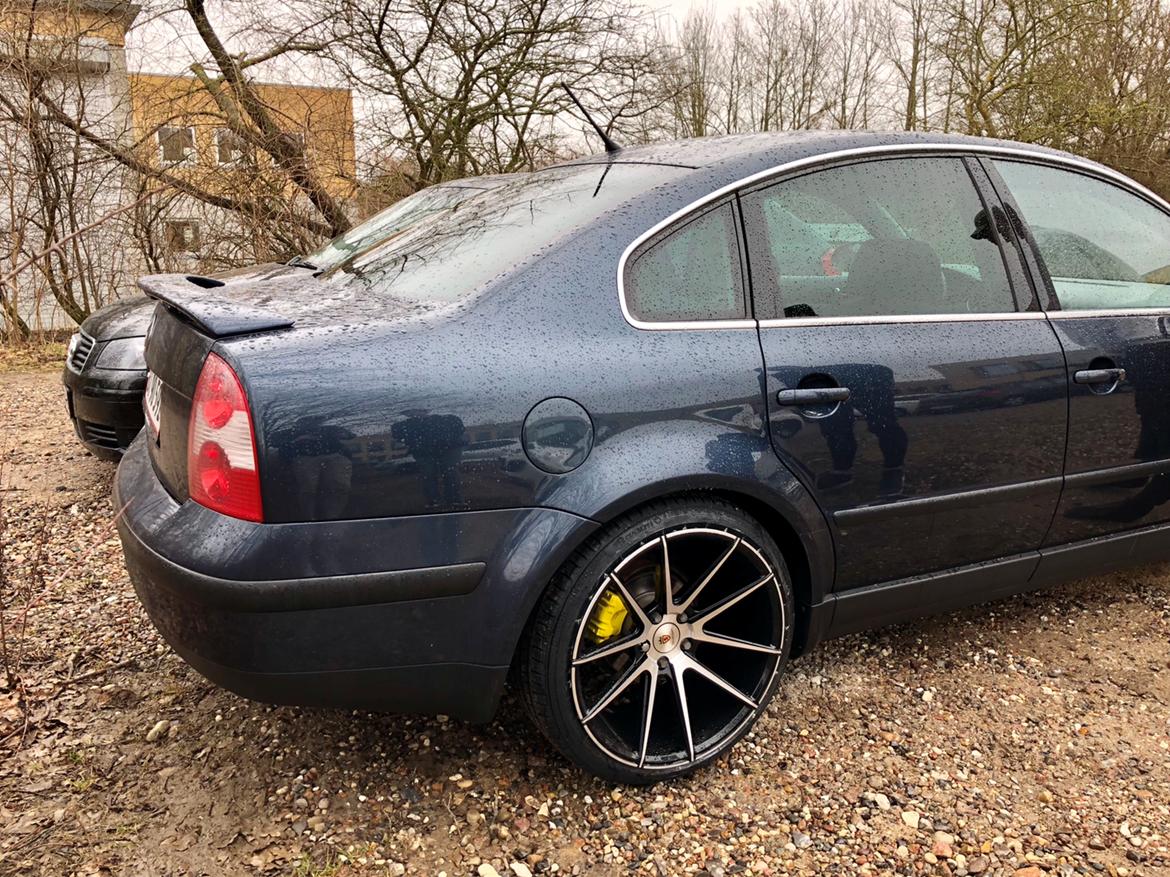 VW Passat 3BG Limousine billede 6