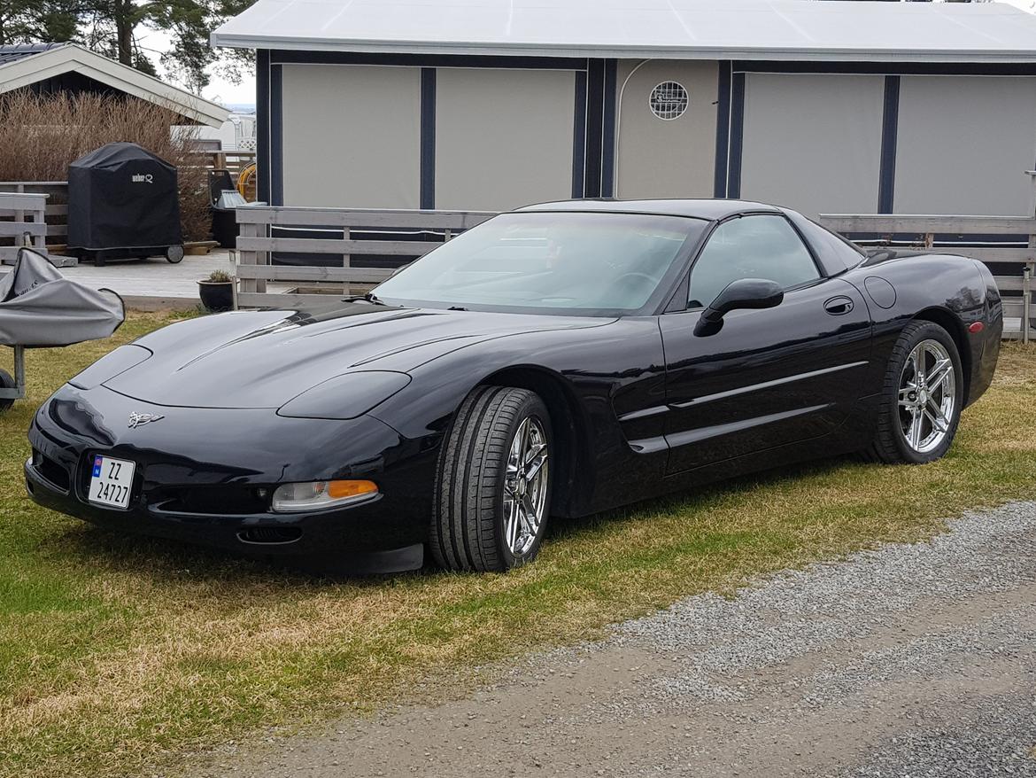 Chevrolet Corvette C5 Targa 50th Anniversary Edition - På campingen på Hekshus. billede 1