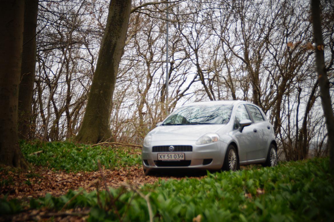 Fiat grande punto (type 199) billede 11