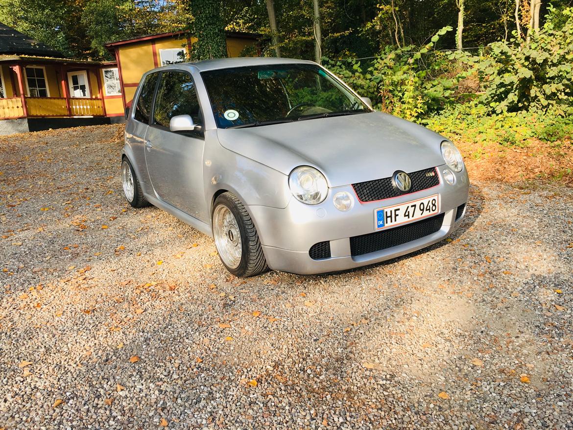 VW Lupo GTI 6 gear *SOLGT* billede 15