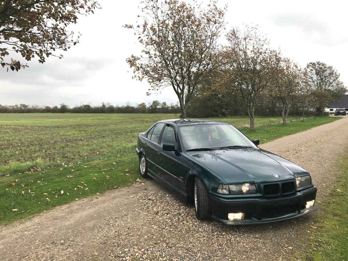 BMW e36 billede 3