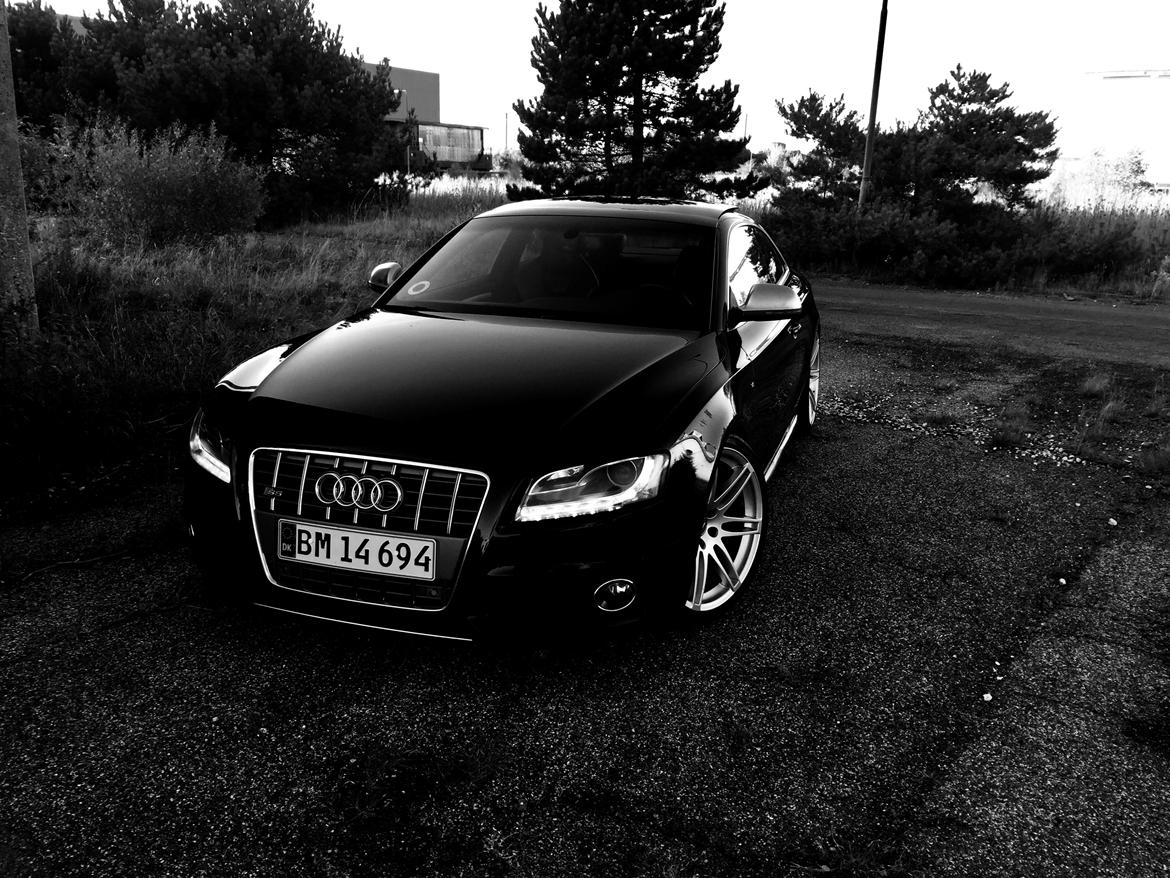 Audi S5 billede 1