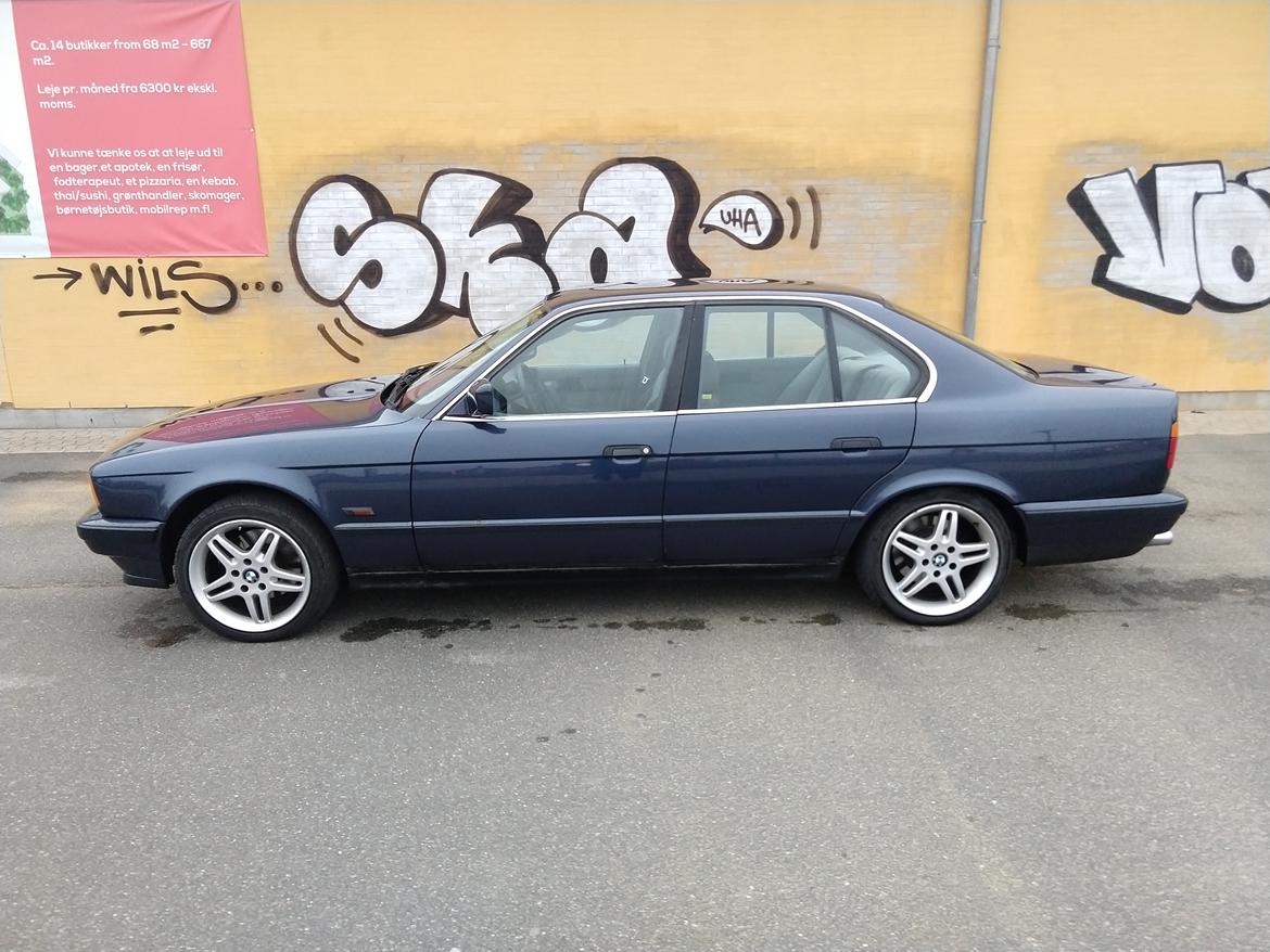BMW 525i billede 12