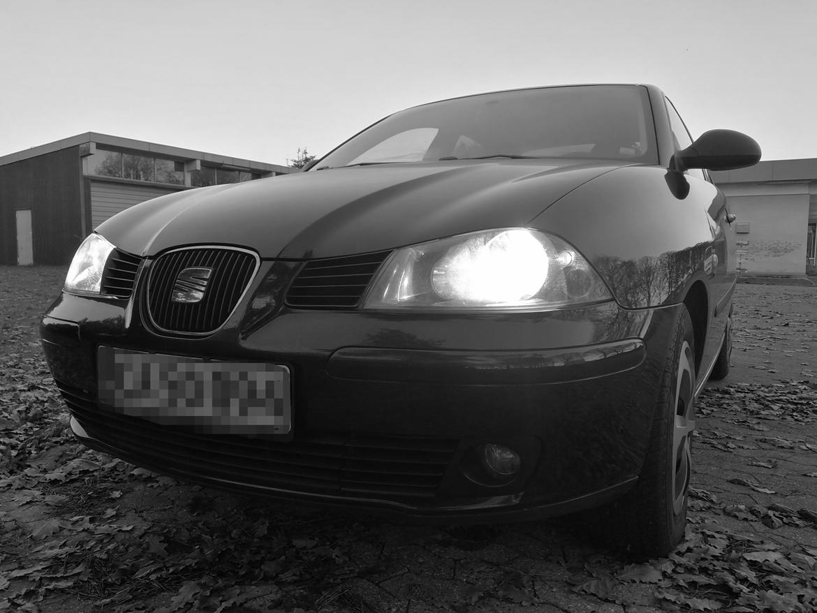 Seat Cordoba III - (6L2) - 1,9 TDI - Sort/Hvid billede fra da bilen lige var blevet hentet ved sælger billede 6