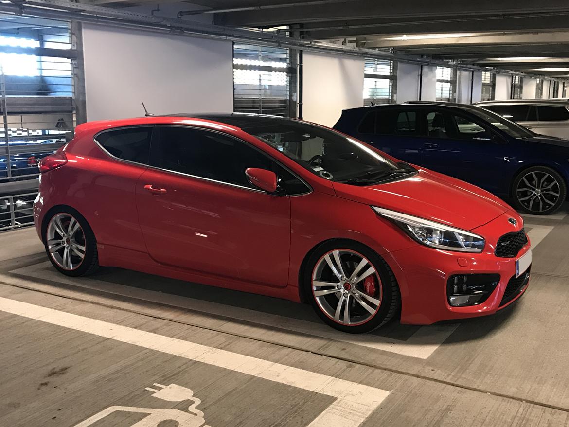 Kia Pro Ceed GT Advance  billede 1