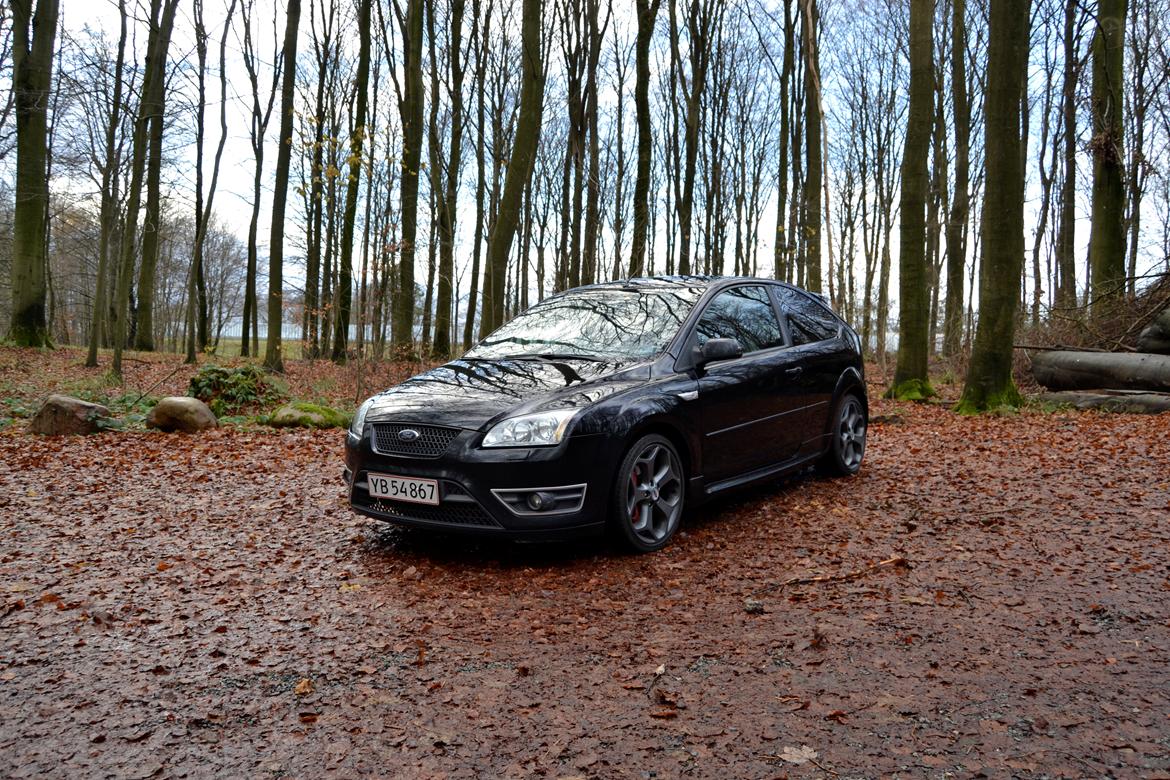 Ford Focus ST225  billede 1