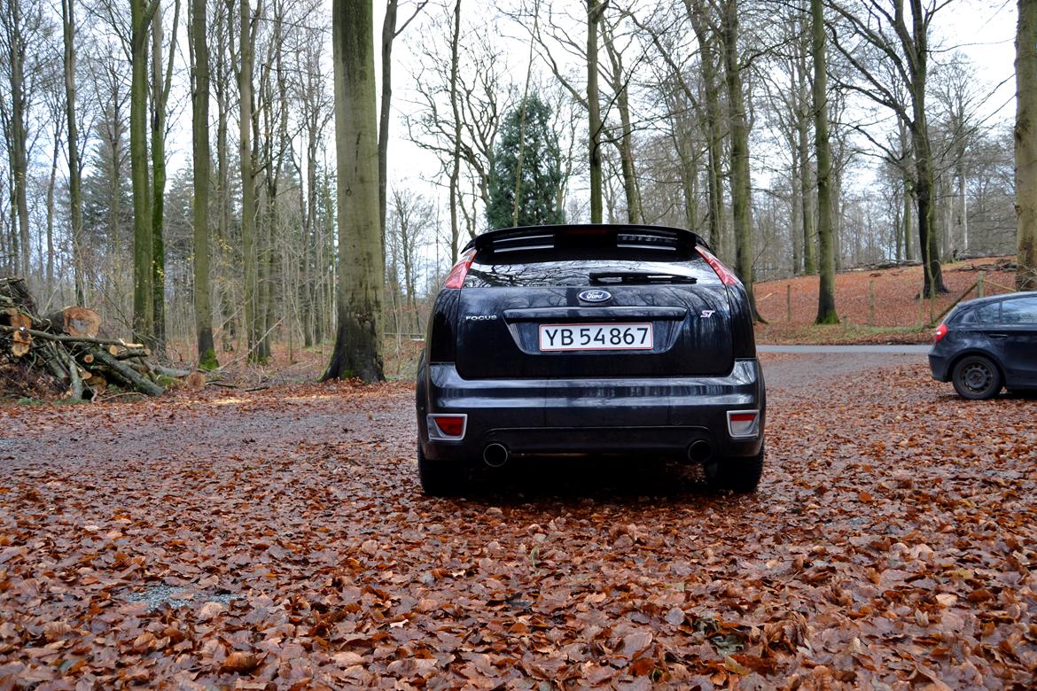 Ford Focus ST225  billede 5