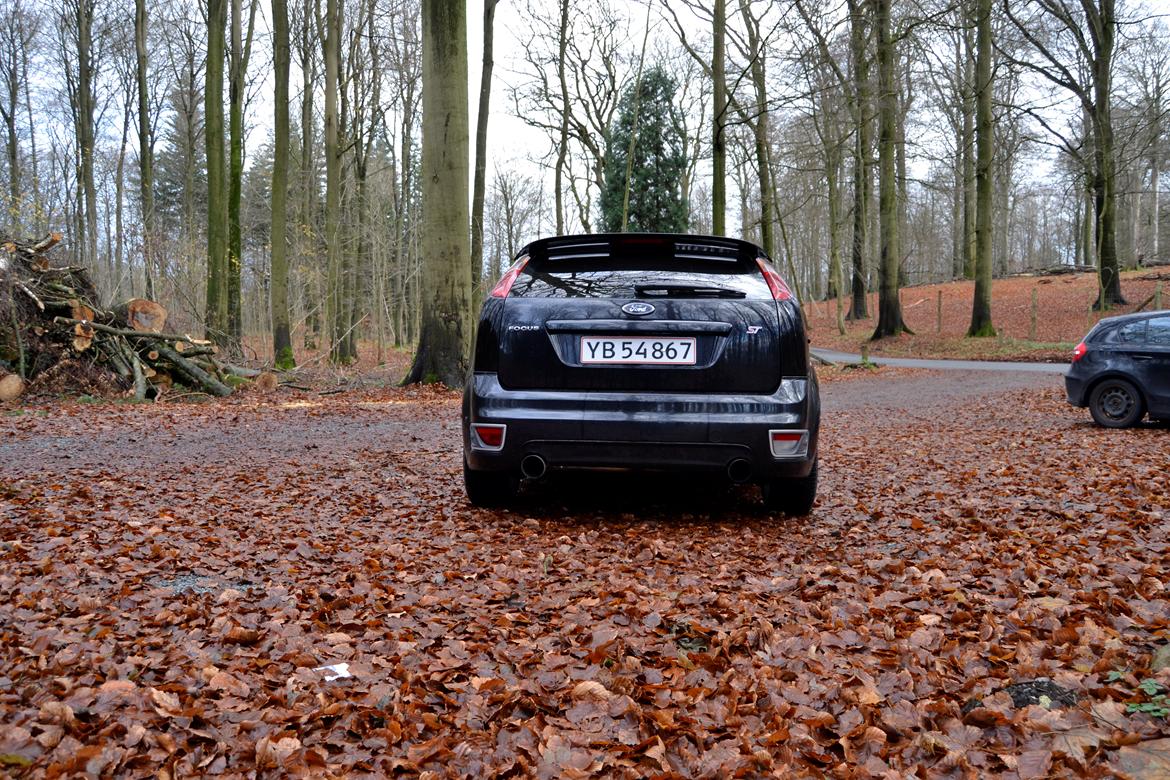 Ford Focus ST225  billede 6