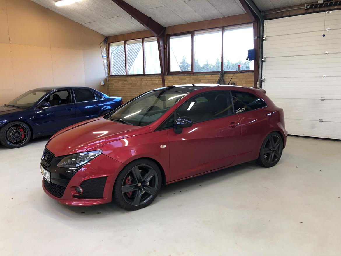 Seat Ibiza Cupra Bocanegra billede 1