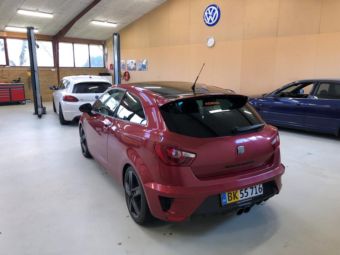 Seat Ibiza Cupra Bocanegra billede 5